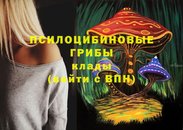 ECSTASY Елабуга