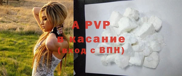 ECSTASY Елабуга