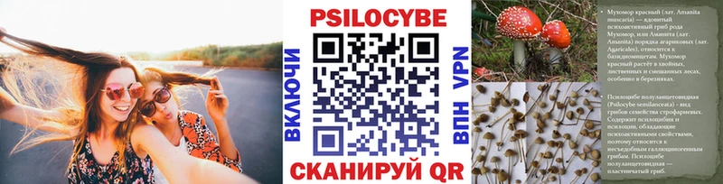 купить наркотик  Старица  Галлюциногенные грибы прущие грибы 